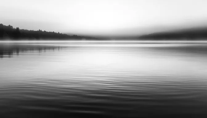 Lac calme dans la brume à l'aube, en noir et blanc